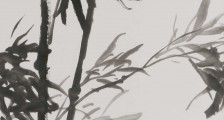 建筑挖掘机司机职业技能等级证书